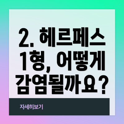 2. 헤르페스 1형, 어떻게 감염될까요?