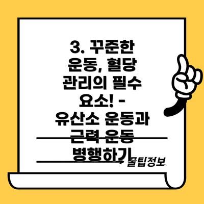 3. 꾸준한 운동, 혈당 관리의 필수 요소! - 유산소 운동과 근력 운동 병행하기