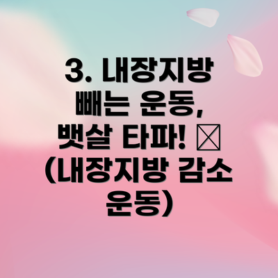 3. 내장지방 빼는 운동, 뱃살 타파! 💪 (내장지방 감소 운동)