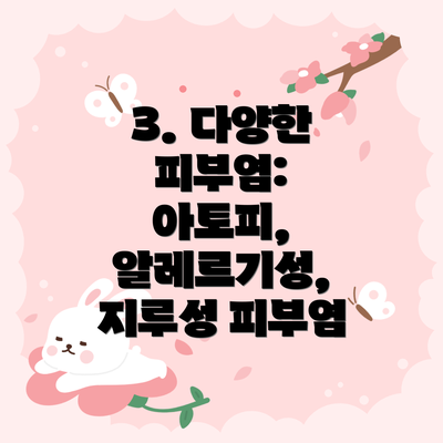 3. 다양한 피부염: 아토피, 알레르기성, 지루성 피부염