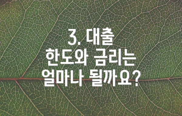 3. 대출 한도와 금리는 얼마나 될까요?