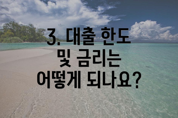 3. 대출 한도 및 금리는 어떻게 되나요?