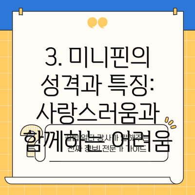 3. 미니핀의 성격과 특징: 사랑스러움과 함께하는 어려움