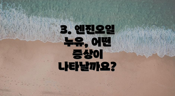 3. 엔진오일 누유, 어떤 증상이 나타날까요?