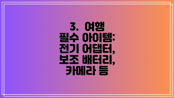 3.  여행 필수 아이템: 전기 어댑터, 보조 배터리, 카메라 등