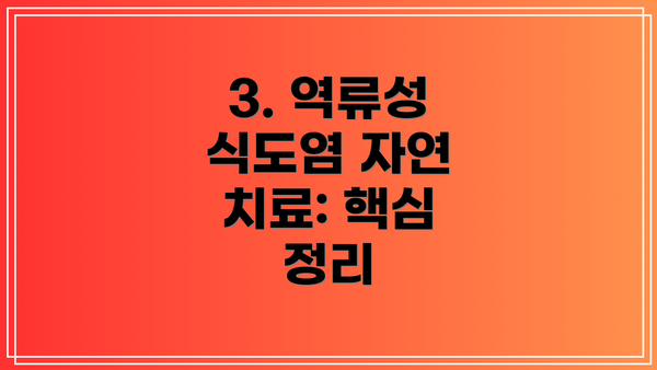 3. 역류성 식도염 자연 치료: 핵심 정리