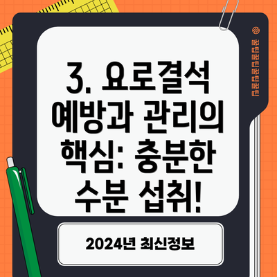 3. 요로결석 예방과 관리의 핵심: 충분한 수분 섭취!