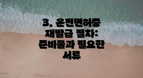 3. 운전면허증 재발급 절차: 준비물과 필요한 서류