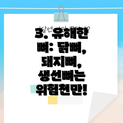 3. 유해한 뼈: 닭뼈, 돼지뼈, 생선뼈는 위험천만!