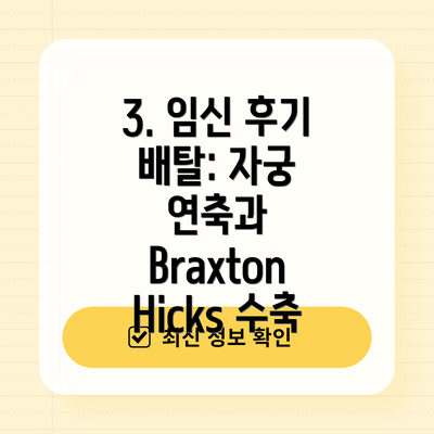 3. 임신 후기 배탈: 자궁 연축과 Braxton Hicks 수축