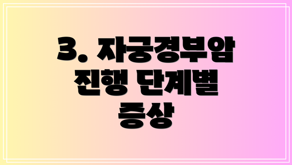 3. 자궁경부암 진행 단계별 증상