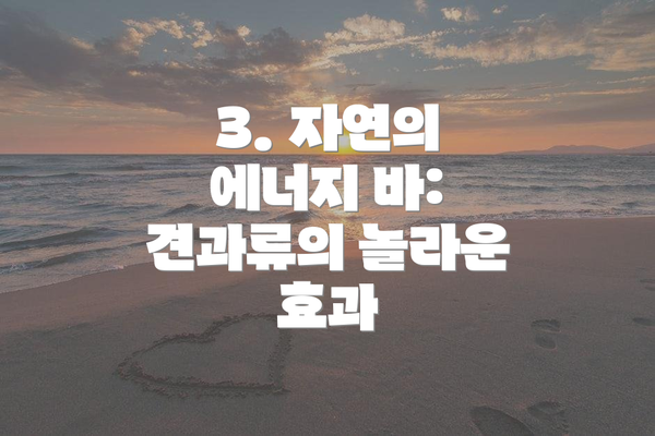 3. 자연의 에너지 바: 견과류의 놀라운 효과
