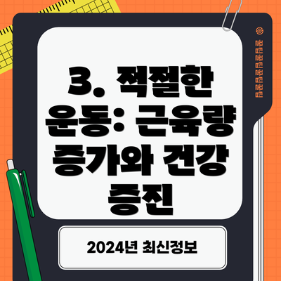 3. 적절한 운동: 근육량 증가와 건강 증진