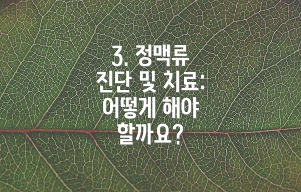 3. 정맥류 진단 및 치료: 어떻게 해야 할까요?