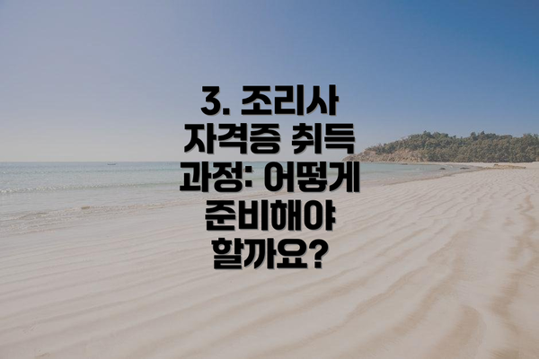 3. 조리사 자격증 취득 과정: 어떻게 준비해야 할까요?