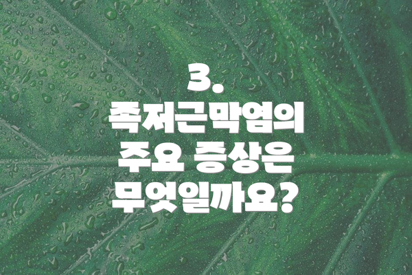 3. 족저근막염의 주요 증상은 무엇일까요?