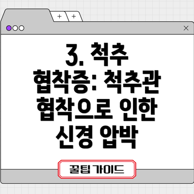 3. 척추 협착증: 척추관 협착으로 인한 신경 압박
