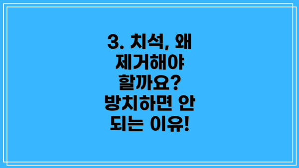 3. 치석, 왜 제거해야 할까요? 방치하면 안 되는 이유!