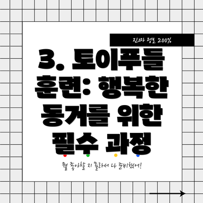 3. 토이푸들 훈련: 행복한 동거를 위한 필수 과정