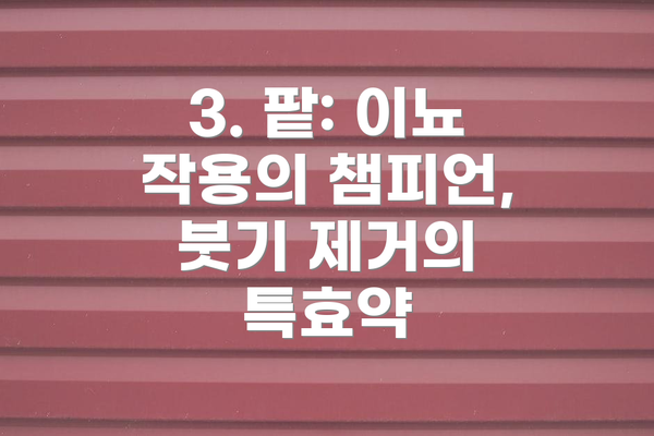 3. 팥: 이뇨 작용의 챔피언, 붓기 제거의 특효약