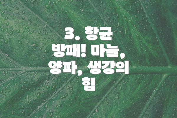 3. 항균 방패! 마늘, 양파, 생강의 힘
