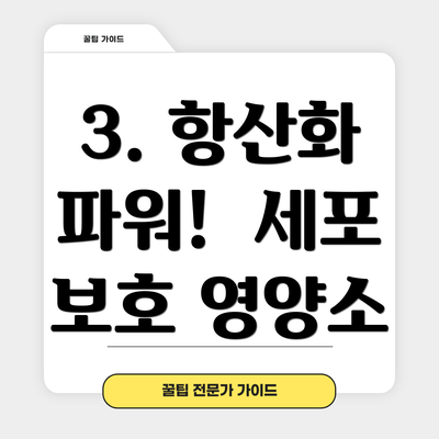3. 항산화 파워!  세포 보호 영양소