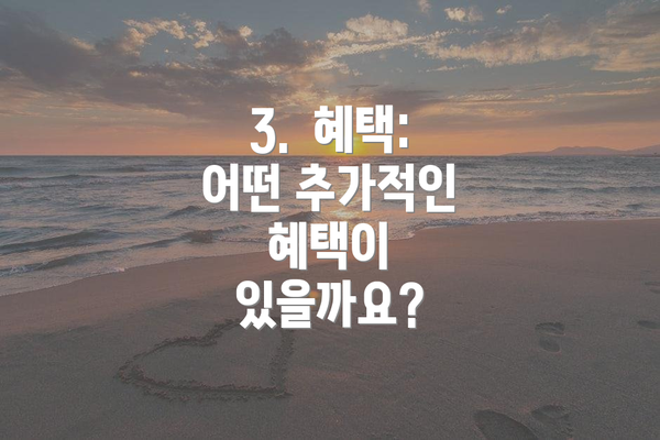 3.  혜택: 어떤 추가적인 혜택이 있을까요?
