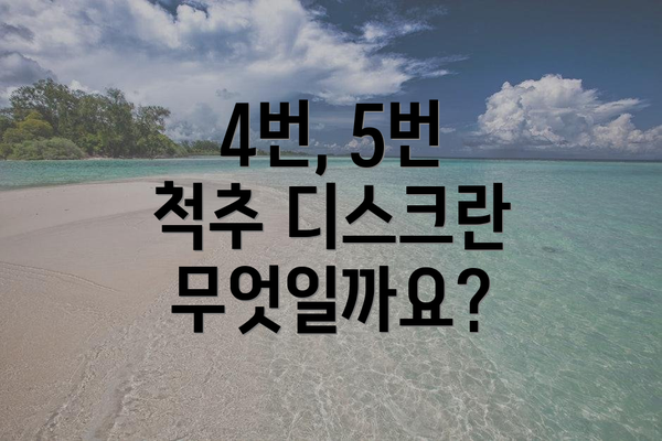 4번, 5번 척추 디스크란 무엇일까요?