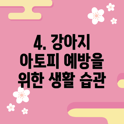 4. 강아지 아토피 예방을 위한 생활 습관