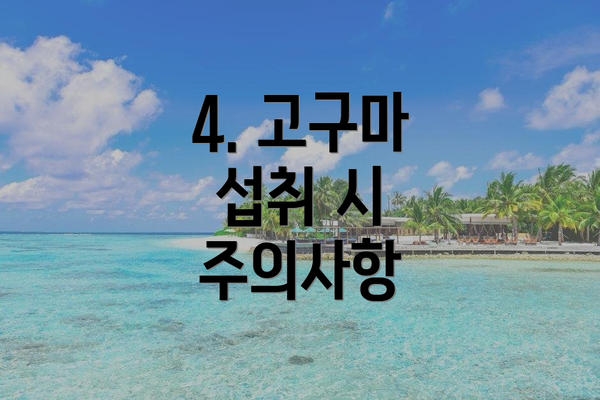 4. 고구마 섭취 시 주의사항