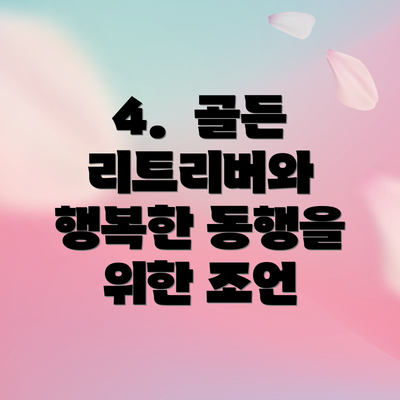 4.  골든 리트리버와 행복한 동행을 위한 조언