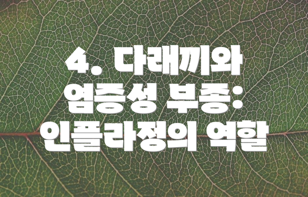 4. 다래끼와 염증성 부종: 인플라정의 역할