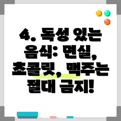 4. 독성 있는 음식: 면실, 초콜릿, 맥주는 절대 금지!