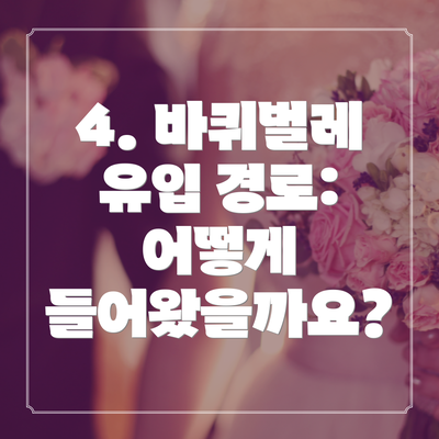 4. 바퀴벌레 유입 경로: 어떻게 들어왔을까요?