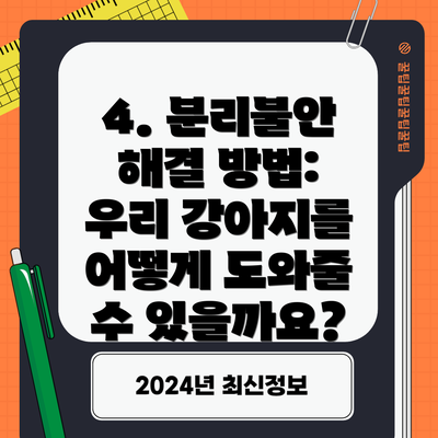 4. 분리불안 해결 방법: 우리 강아지를 어떻게 도와줄 수 있을까요?