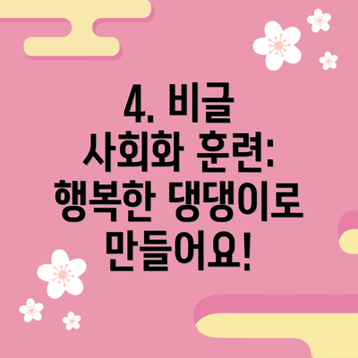 4. 비글 사회화 훈련:  행복한 댕댕이로 만들어요!
