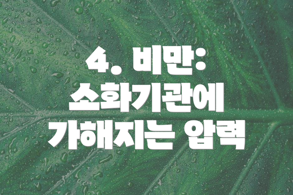 4. 비만: 소화기관에 가해지는 압력