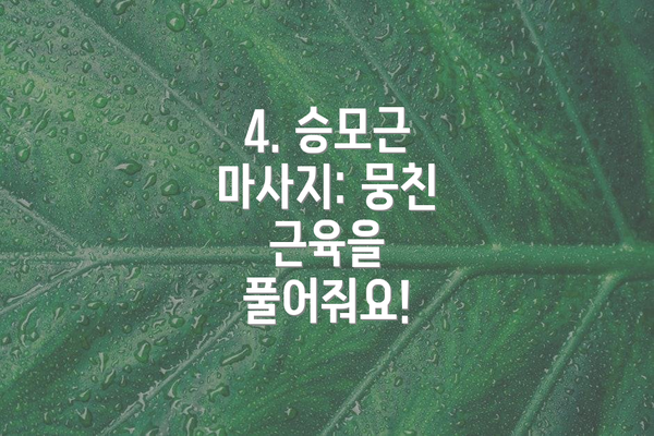 4. 승모근 마사지: 뭉친 근육을 풀어줘요!