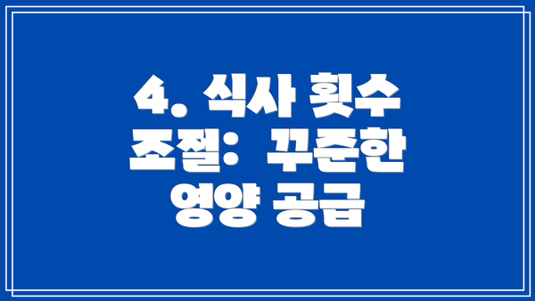 4. 식사 횟수 조절:  꾸준한 영양 공급