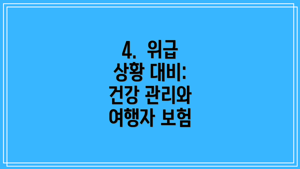 4.  위급 상황 대비: 건강 관리와 여행자 보험