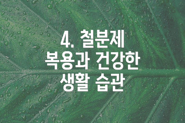 4. 철분제 복용과 건강한 생활 습관