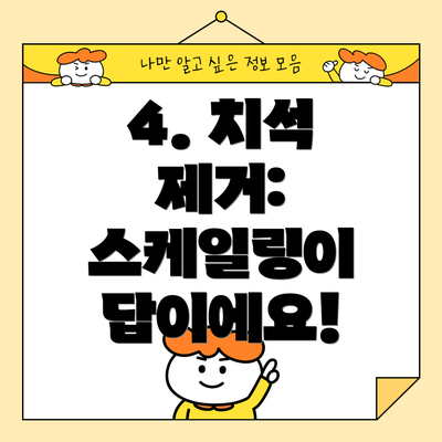 4. 치석 제거: 스케일링이 답이에요!