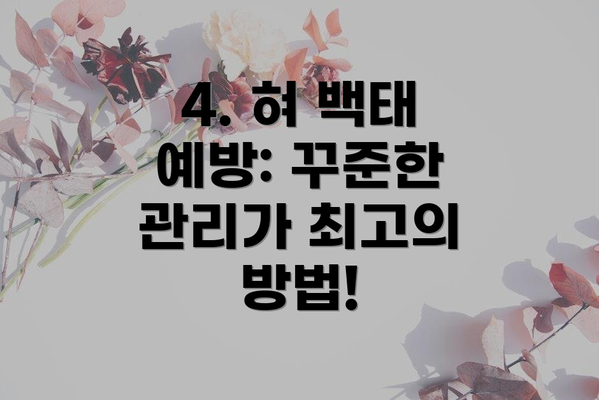4. 혀 백태 예방: 꾸준한 관리가 최고의 방법!
