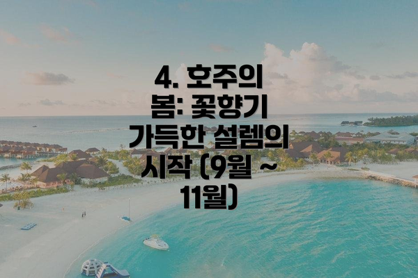 4. 호주의 봄: 꽃향기 가득한 설렘의 시작 (9월 ~ 11월)