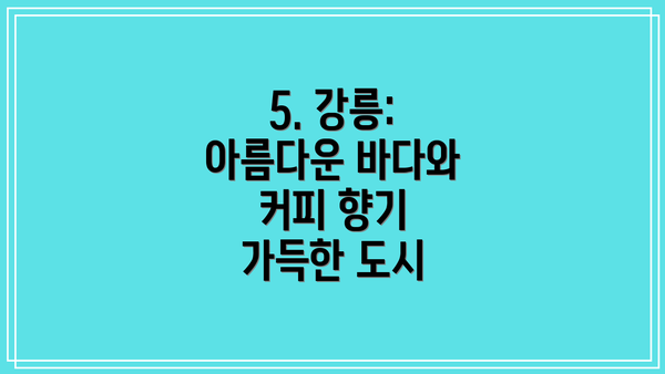 5. 강릉: 아름다운 바다와 커피 향기 가득한 도시