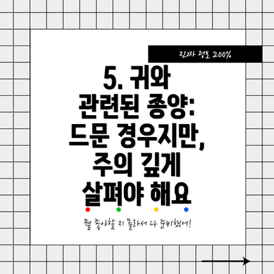 5. 귀와 관련된 종양:  드문 경우지만, 주의 깊게 살펴야 해요