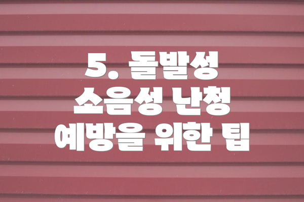 5. 돌발성 소음성 난청 예방을 위한 팁