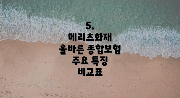 5.  메리츠화재 올바른 종합보험 주요 특징 비교표