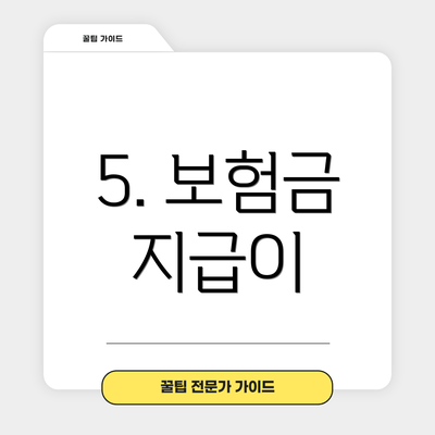 5. 보험금 지급이