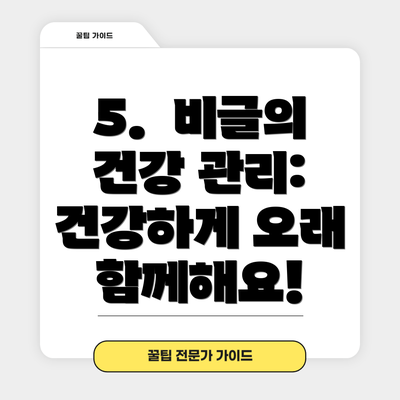 5.  비글의 건강 관리:  건강하게 오래 함께해요!